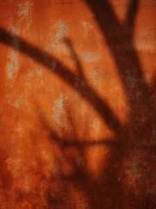 再見美拉德、格雷系！橙色+棕色，才是今年冬天最時髦配色